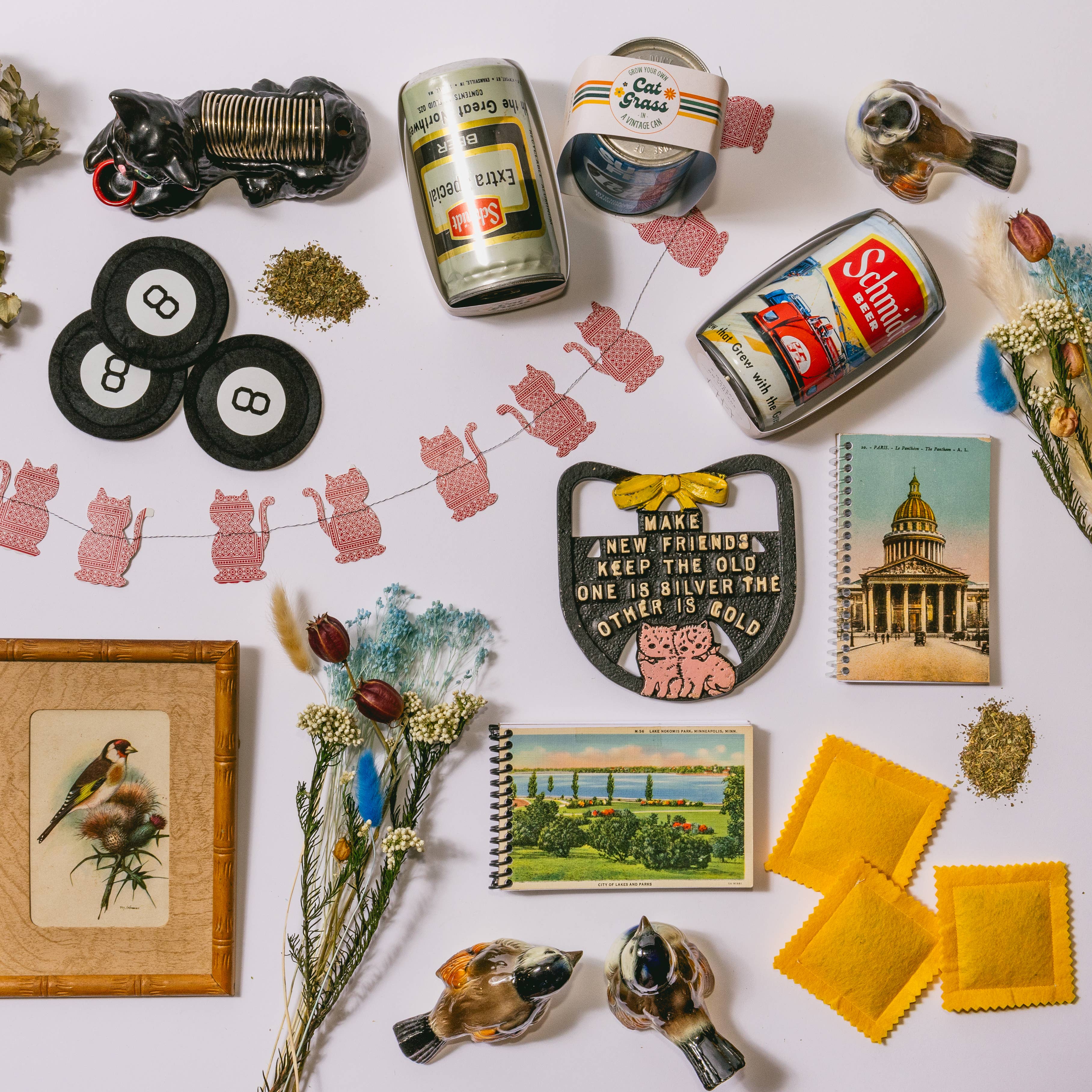 The Mustache Cat Made – wholesale Pet treats – Cat – Cat Grass -In- A Vintage Soda Can7