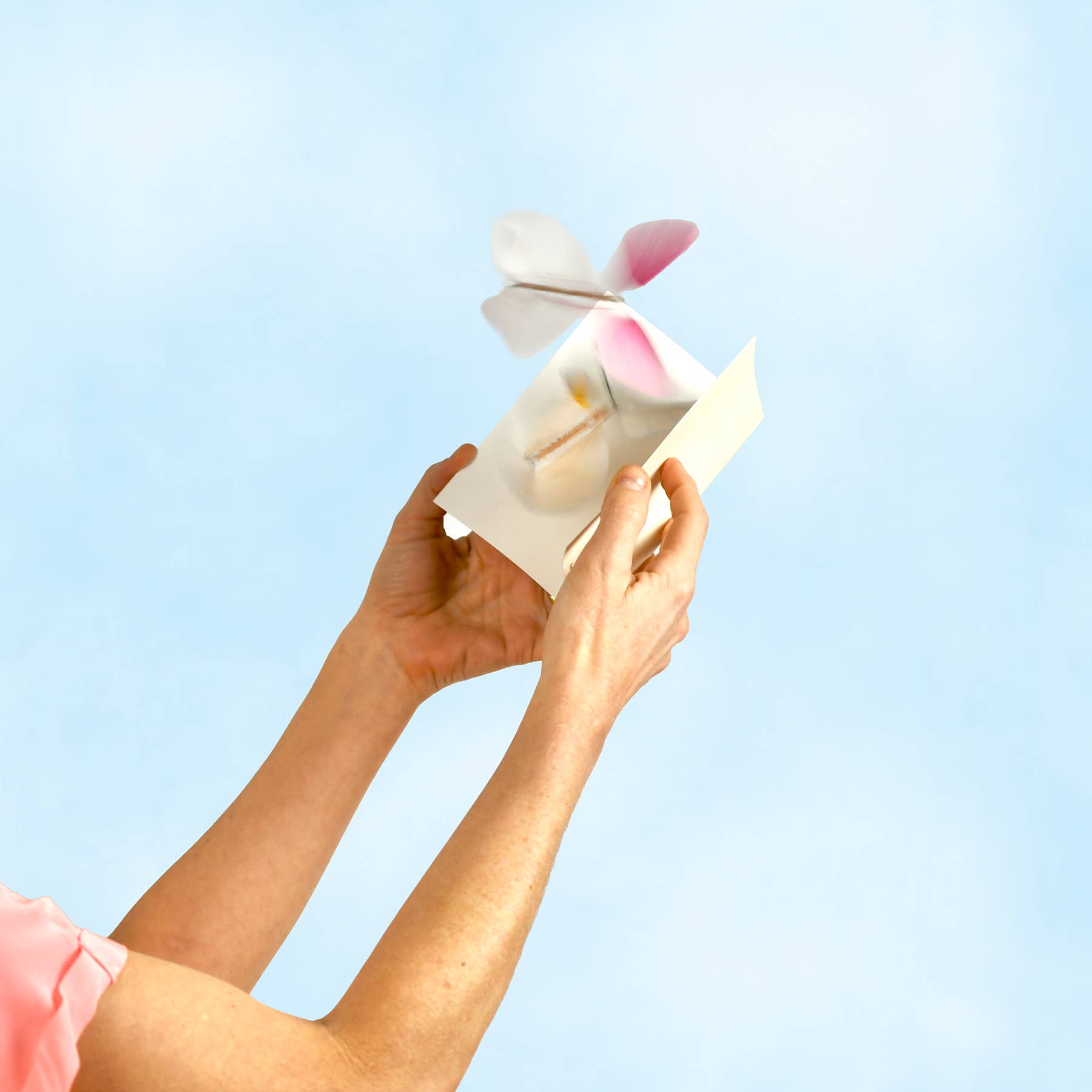 TOPS Malibu - Wholesale DIY Craft Kit - Flying Magic Butterfly® w/ Paint Set - Paint Your Own!2