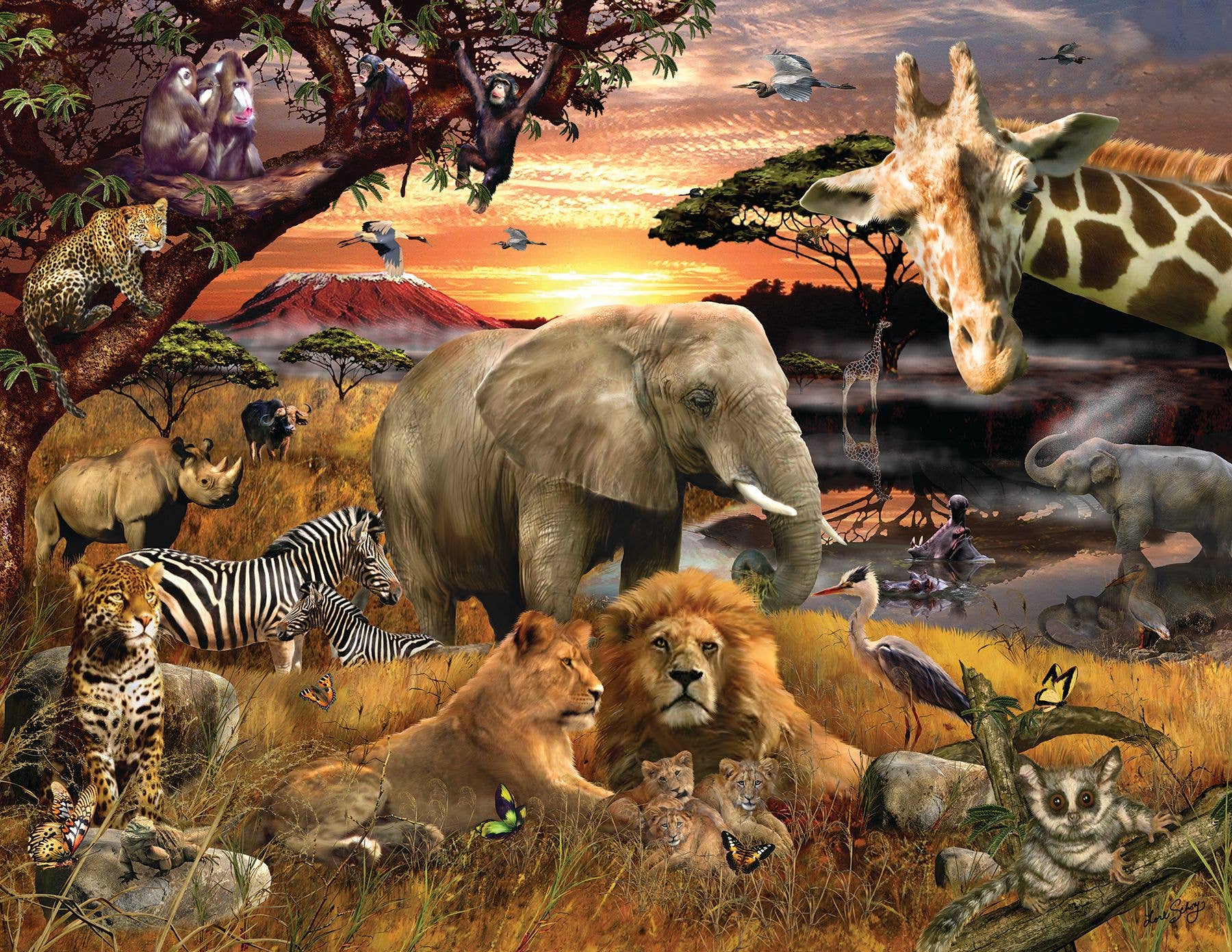 Springbok Puzzle - Wholesale Puzzle - Adult - Wild Savanna 400 Piece Jigsaw Puzzle0