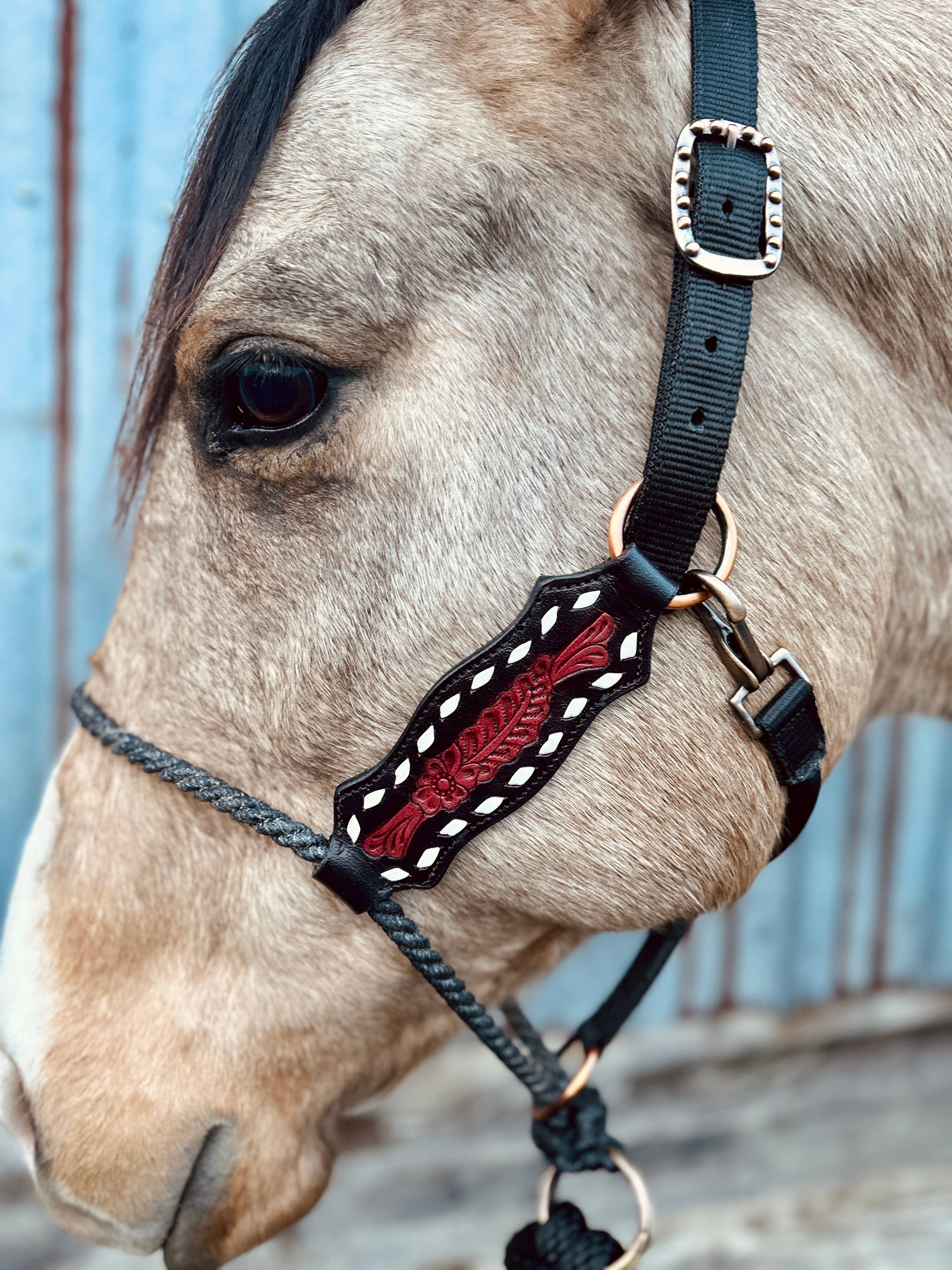 Schulz Equine - Wholesale Horseback Riding Gear - Lariat Nose Halter1