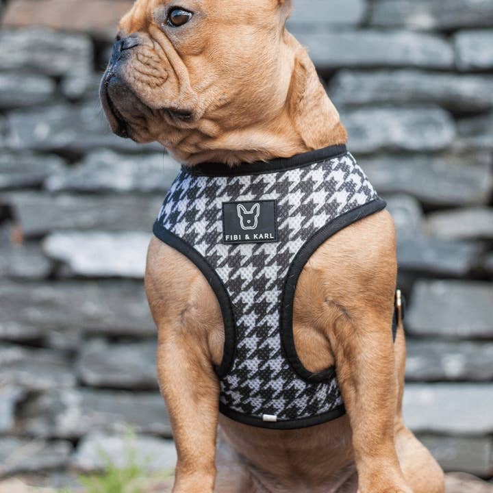 Fibi & Karl - Wholesale Pet Harness - Dog - 2-in-1 dog harness FK