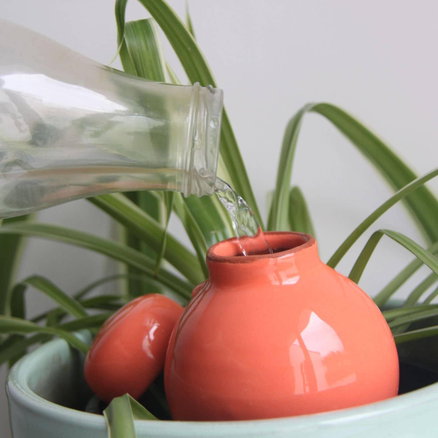 Poterie lutton - Wholesale Plant Pot - Ollas Flavor4