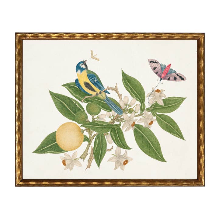 Birds, flowers and insects bookplate on a light background N for wholesale by Antique Curiosities Inc