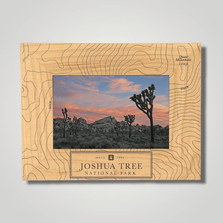 Joshua Tree National Park for wholesale by Journey Frames