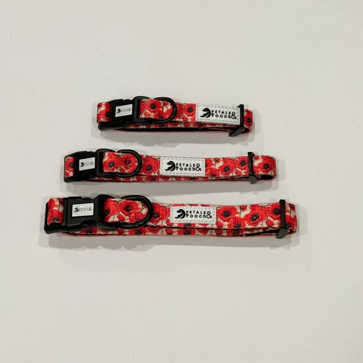 Collier Champ de Coquelicots pour la vente par Petals & Pooch