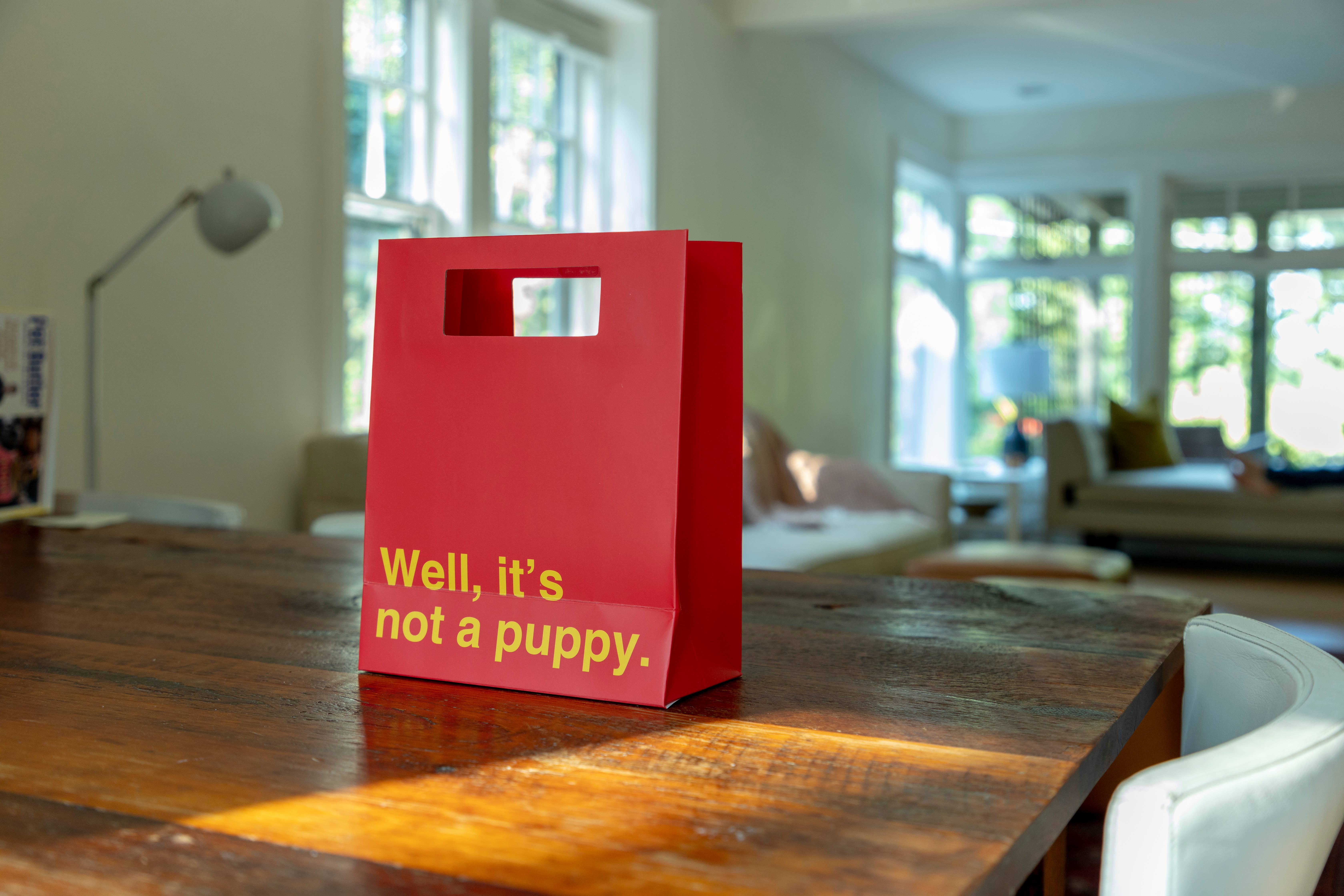 Prank-O - Wholesale Gift Bag - Funny "Not a Puppy" Gift Bag3