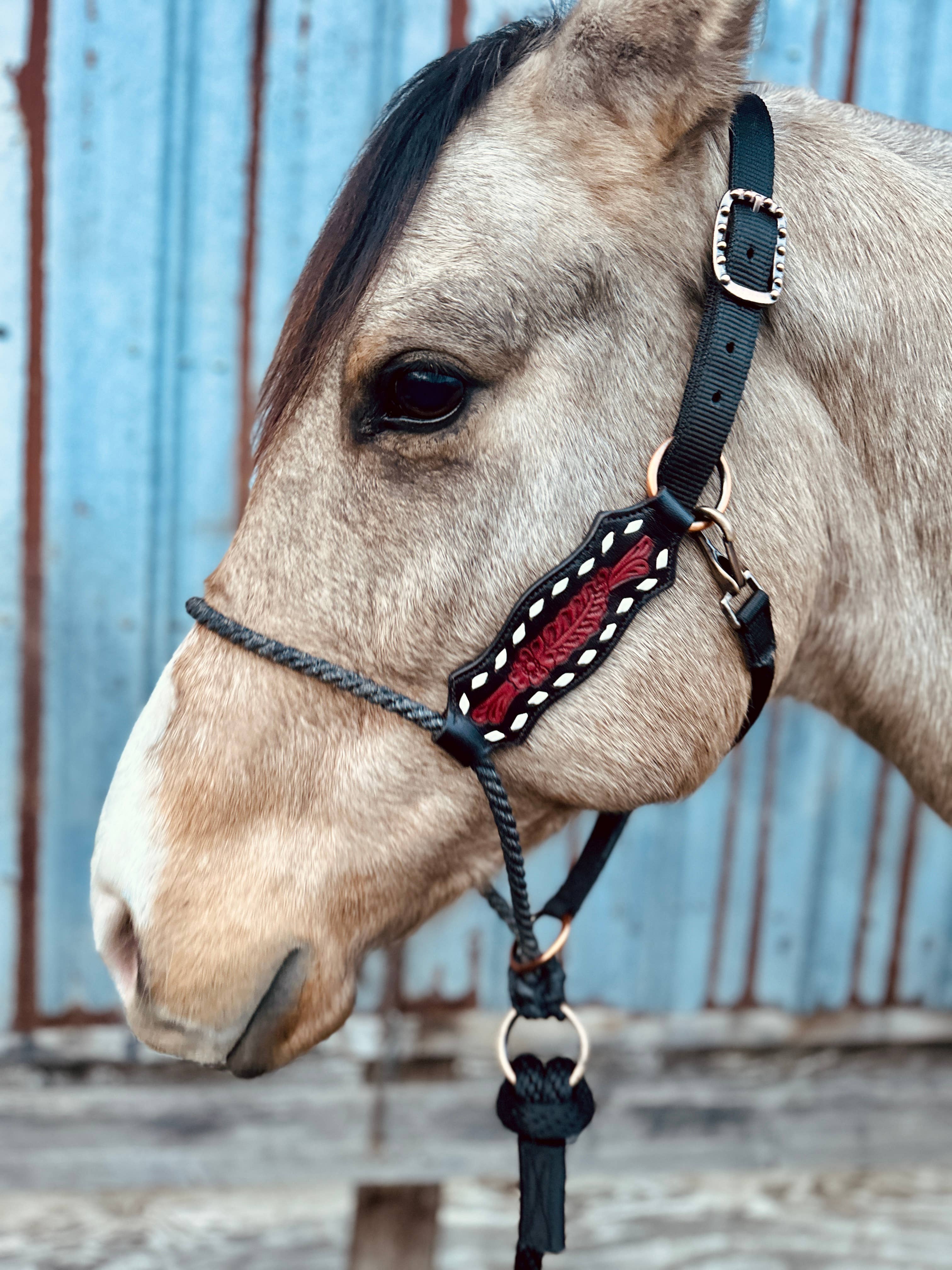 Schulz Equine - Wholesale Horseback Riding Gear - Lariat Nose Halter18