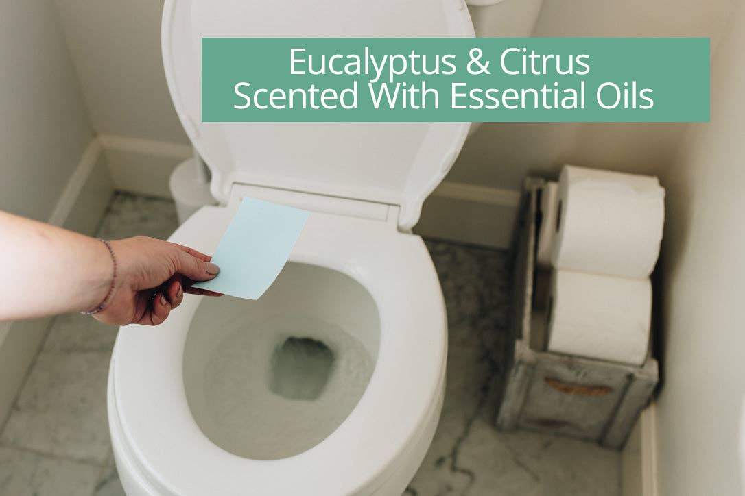 Eco Living Club - Vendita all'ingrosso Detergenti per WC - Detergente per WC, 750 Cleans (250 fogli)1