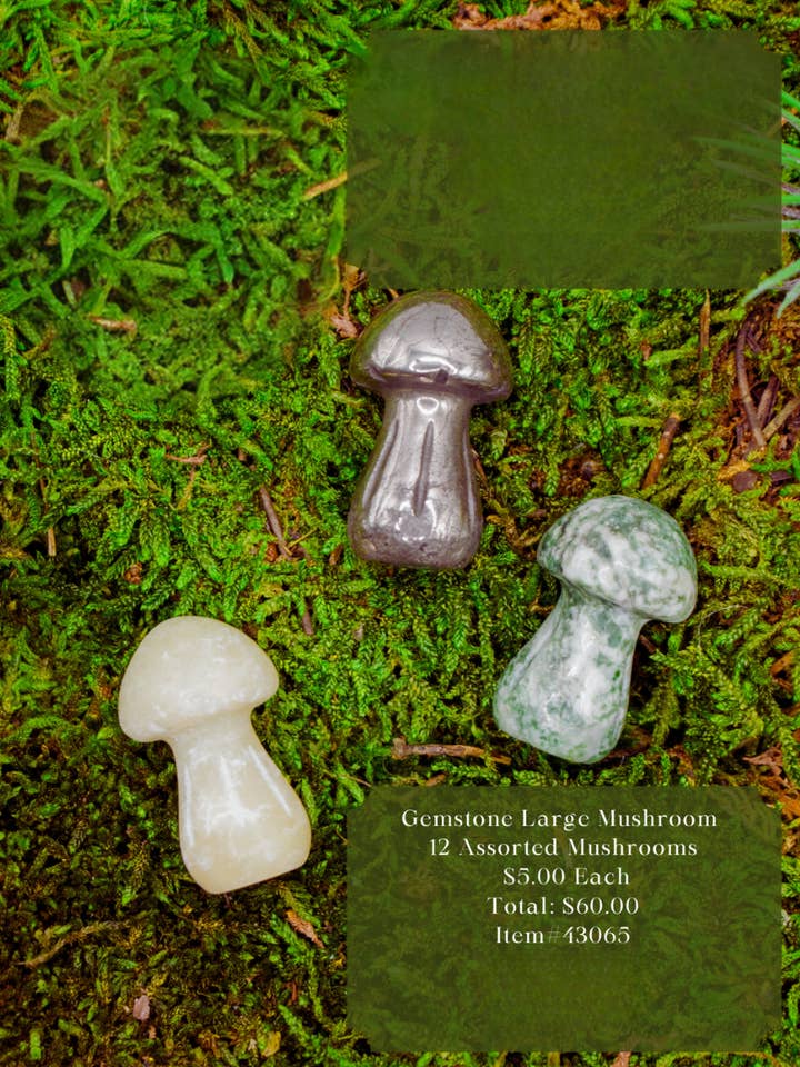 Mushroom Collection / Gemstone Mushrooms Large Assorted for wholesale by Serenity + Sol