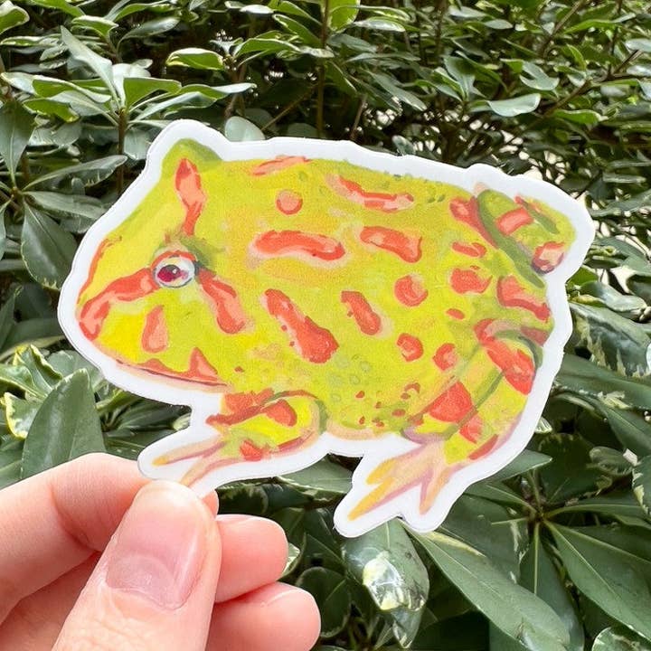 albino pacman frog watercolor vinyl sticker 3x2" - weatherproof decal - green and orange frog transparent sticker for wholesale by Stephanie Missan Studio