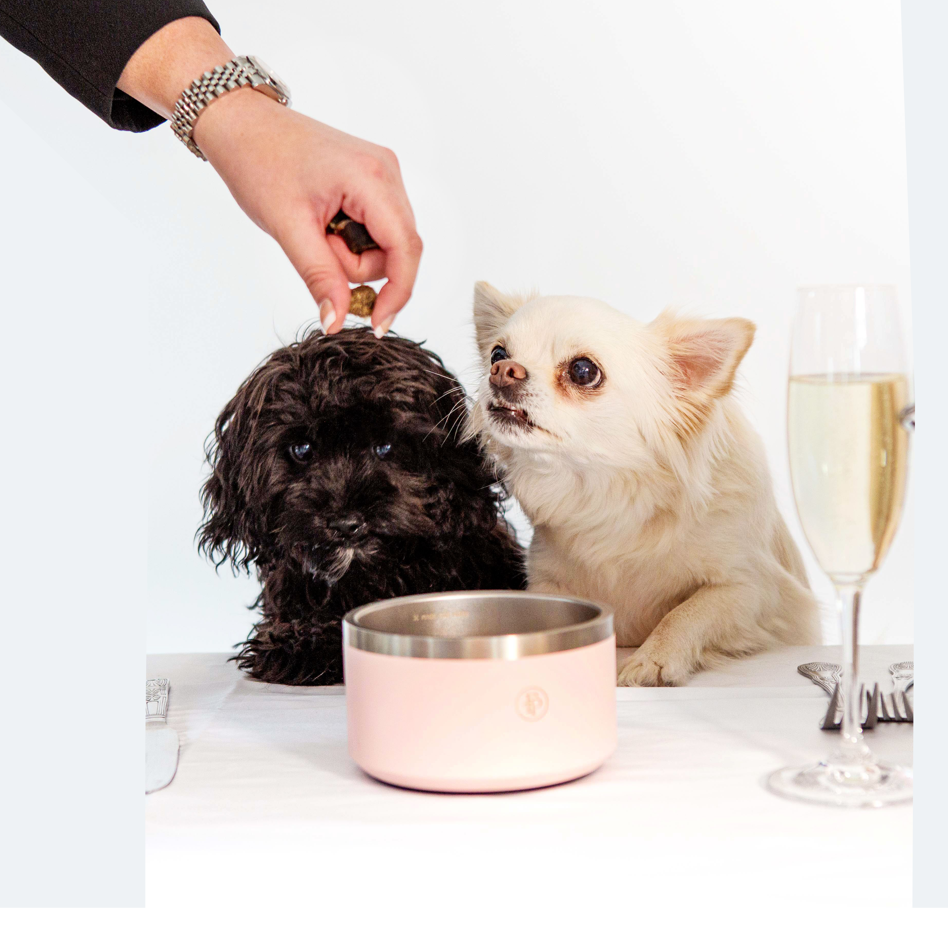 The Fox's Pantry – wholesale Pet treats – Dog – Wild Venison with Cranberry Sausages2