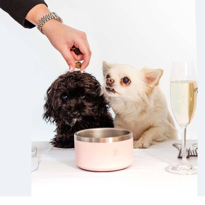 The Fox's Pantry – wholesale Pet treats – Dog – Wild Venison with Cranberry Sausages2