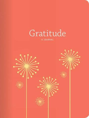 Chronicle Books - Wholesale Journal/Diary - Gratitude0
