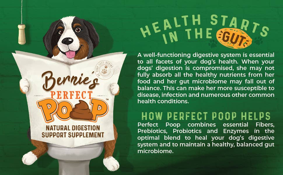 Bernie's Perfect Poop - Wholesale Pet Supplement - Dog - Bernie's Perfect Poop - 12.8 oz Cheddar Cheese7