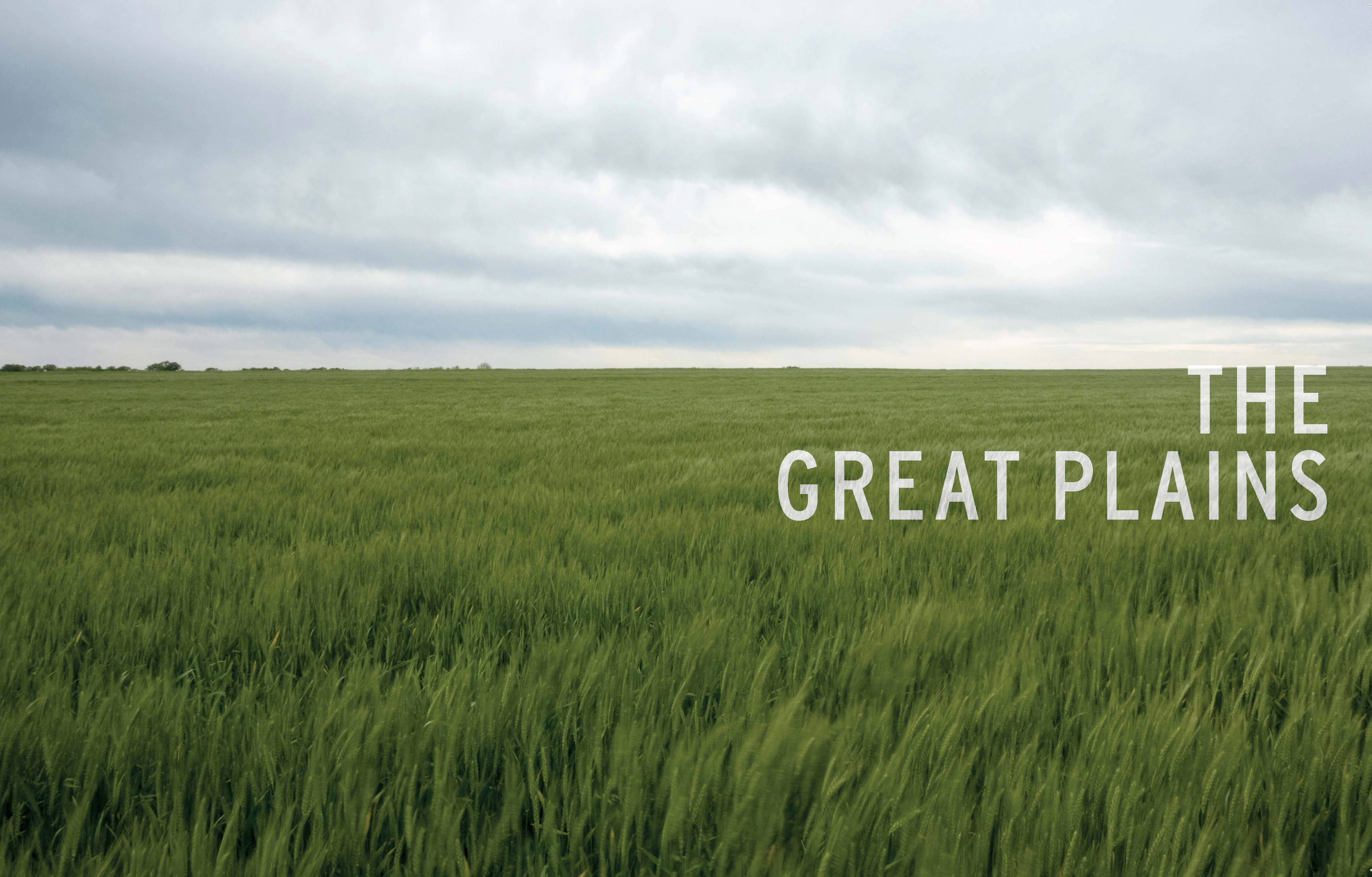 Chronicle Books - Wholesale Sports & Recreation - Cross Country13