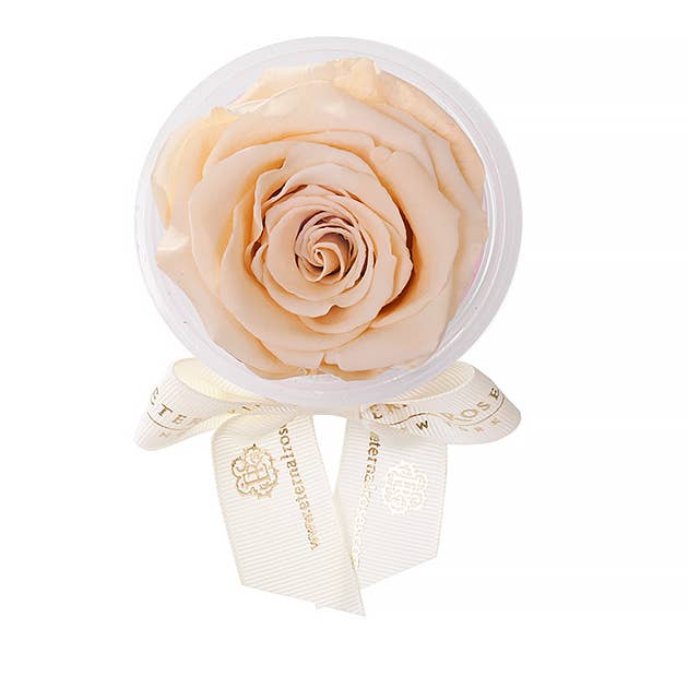 Eternal Roses® - Wholesale Party Favor - Eternal Rose Party Favors12