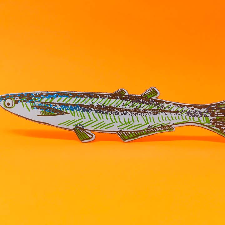 Ark Colour Design - Wholesale Bookmark - Fish "Any Fin is Possible" Bookmark