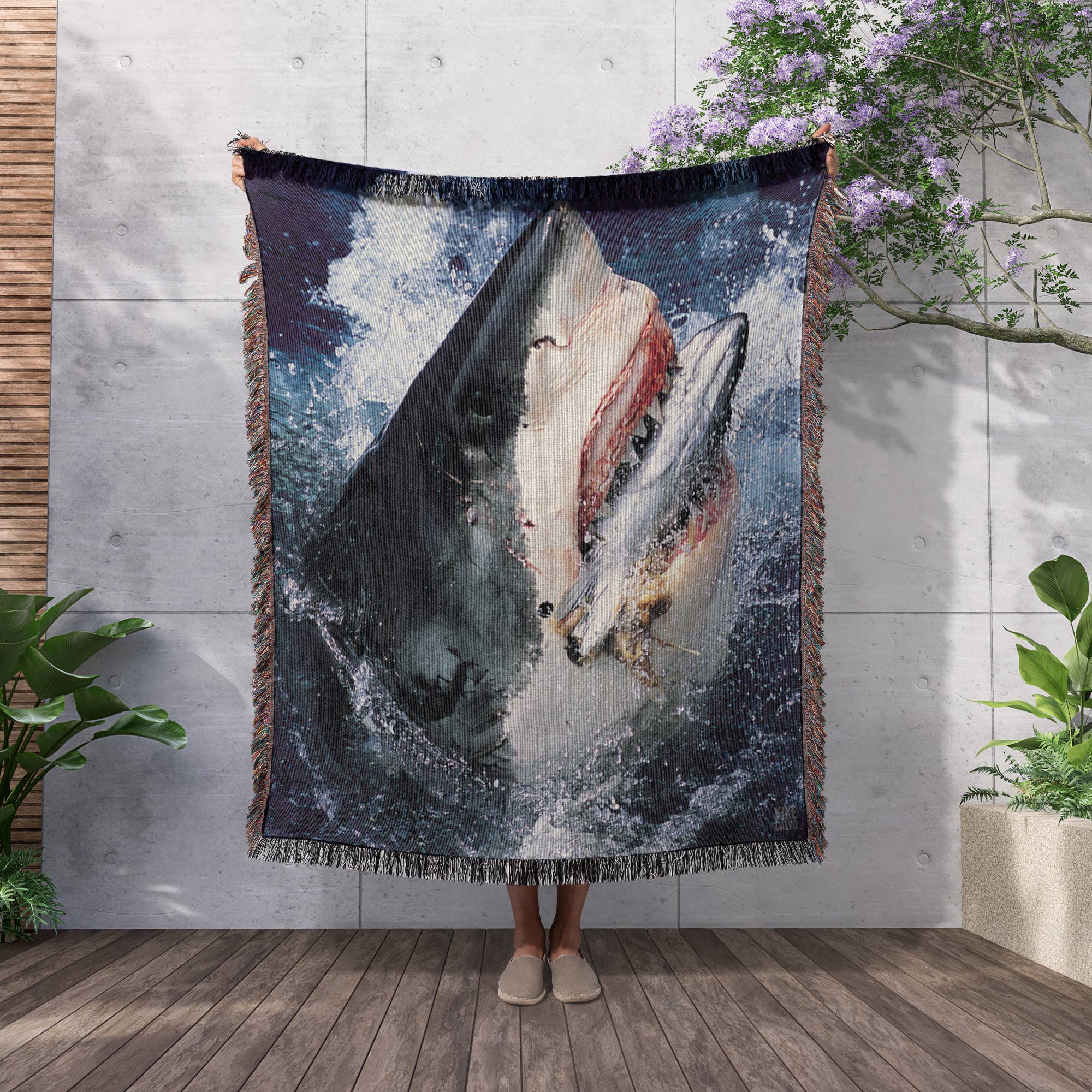 3dRose - Wholesale Throw Blanket - 3dRose, Great White Shark, Blanket2