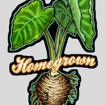 Aufkleber „Kalo“ von Homegrown für den Großhandel von nalu blue