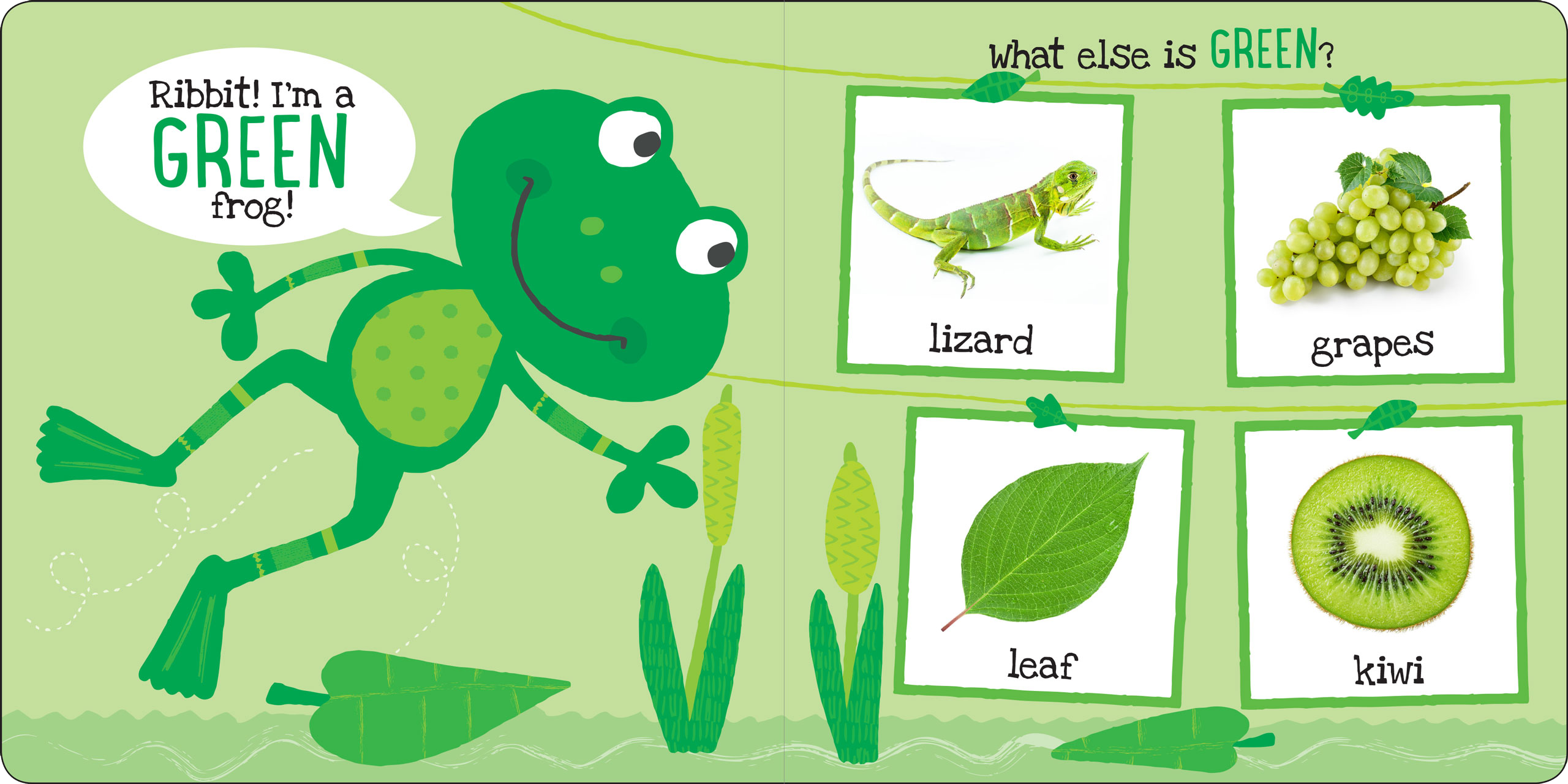 Peter Pauper Press - Wholesale Baby & Toddler Book (0-2) - My First COLORS Board Book4