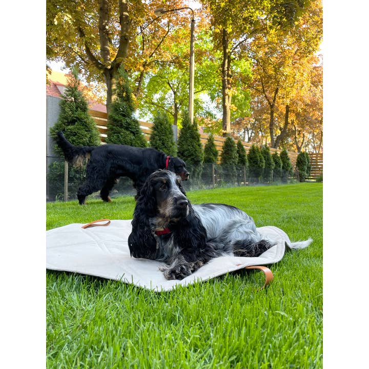 Labbvenn – Engroshandel Kæledyrsmåtte – Hund – Okka kompakt og alsidig rejsemåtte til kæledyr31