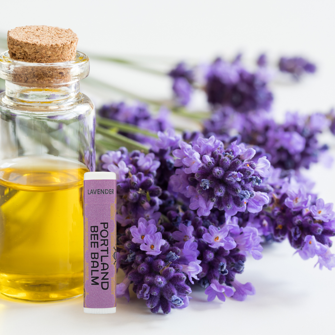 Portland Bee Balm - Wholesale Lip Balm - Lavender Beeswax Lip Balm Display – Calming 24-Count3