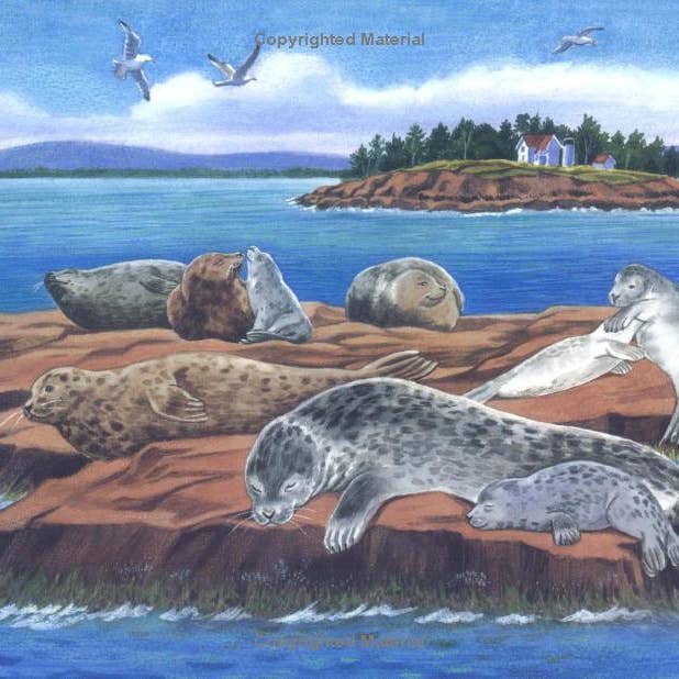 REMOVED BRAND - Wholesale Biography & Memoir - Andre the Famous Harbor Seal2