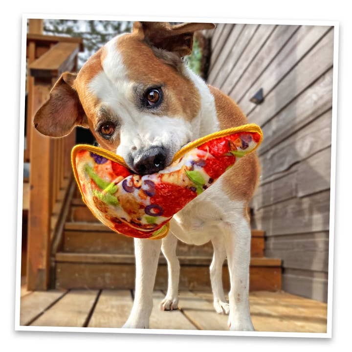 SmarterPaw | Meowijuana & Doggijuana - Wholesale Pet Chew Toy - Dog - Doggijuana® Tuffer Chewer Supreme Pizza Refillable Dog Toy5