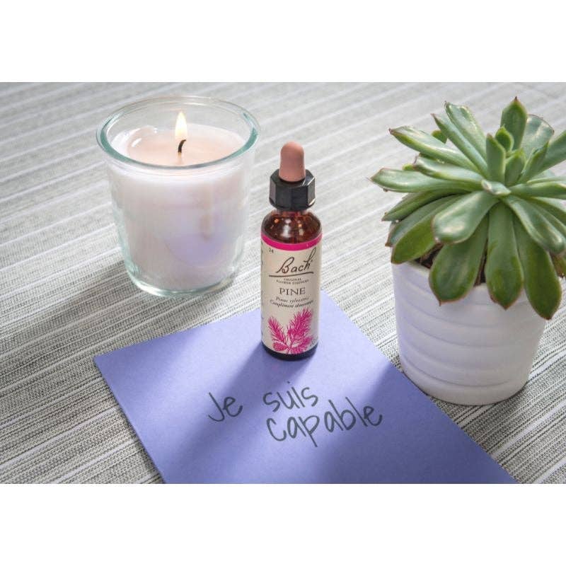 Ecohesens - Wholesale Oral Supplement/Vitamin - Scots pine (Pine) 20 ml - Bach Original1