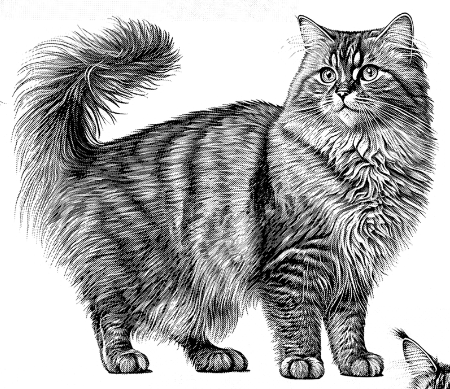 Rubyzaar - Vendita all'ingrosso Portamonete - Unisex - Tasca con cerniera BC 28