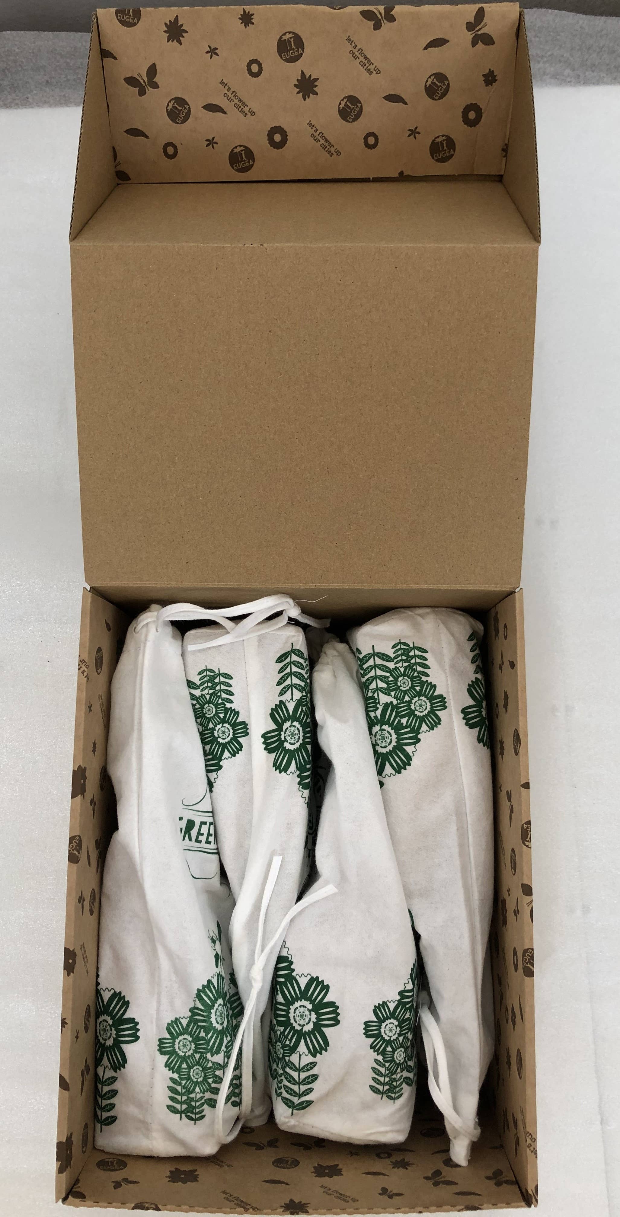 EUGEA - Wholesale Plant Seeds - Green XMAS BAG2