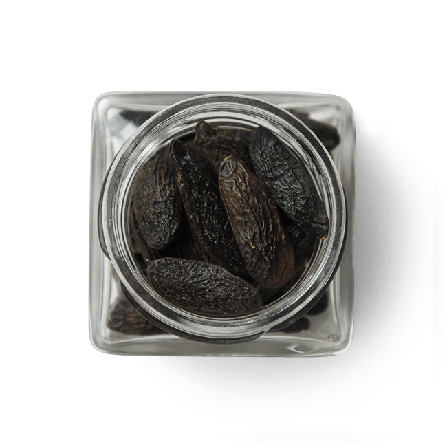 JS1599 - Wholesale Dried Spice - Tonka Fava Beans1