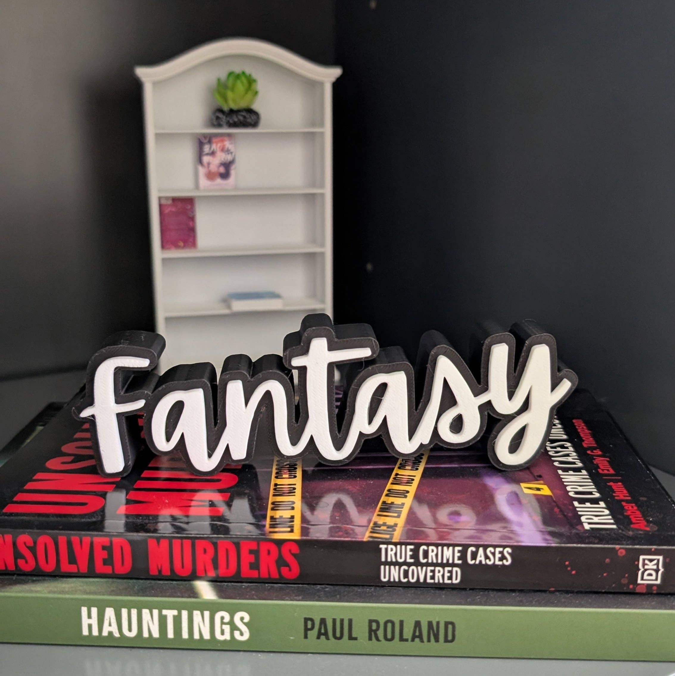 The Gift Genie LLC - Wholesale Bookend - 3D Book Sitters7