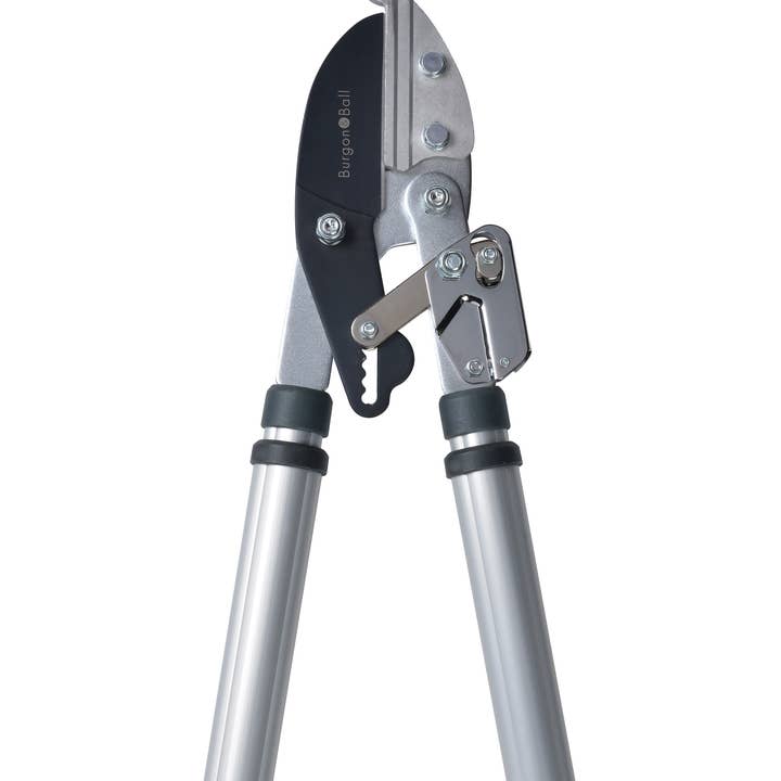 RHS Telescopic Handled Ratchet Lopper for wholesale by Burgon and Ball