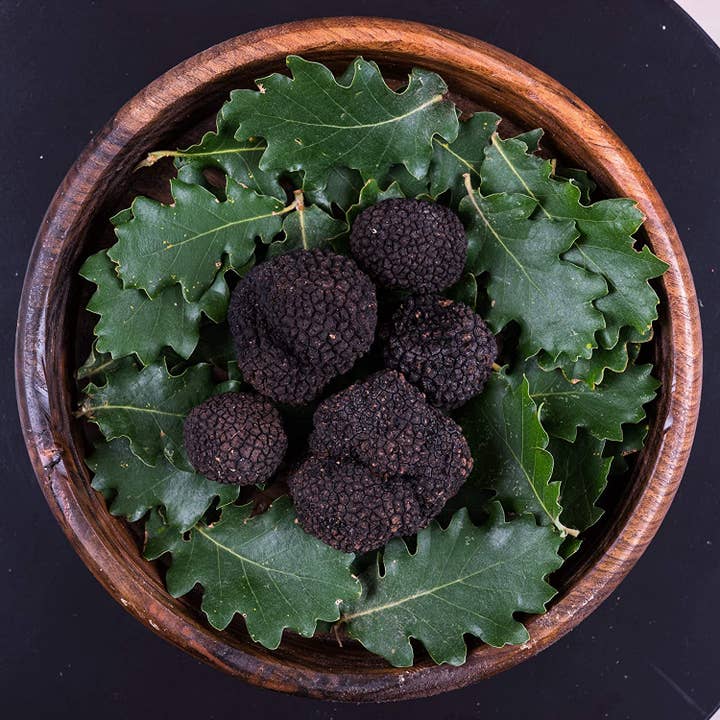 La Cerqua Tartufi - Wholesale Preserves - Preserved Black Summer Truffles, 25 g1