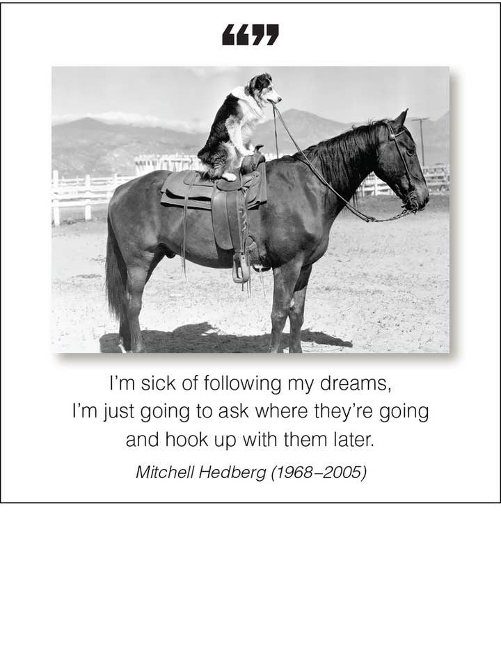 Jeg er træt af at følge Magnet. for engroshandel hos The Borealis Press Inc