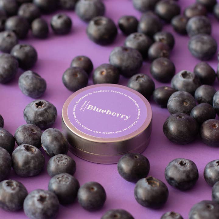 Nordtrice - Wholesale Travel Candles - Mini scented soy candles, Blueberry1