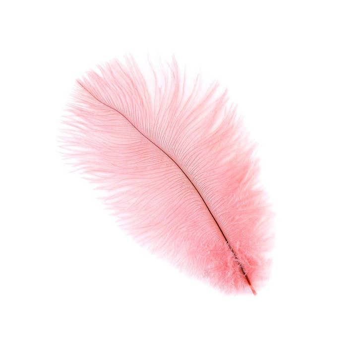 Zucker Feather Products - Wholesale Feathers - Ostrich Feathers 4-8" Drabs - Candy Pink1