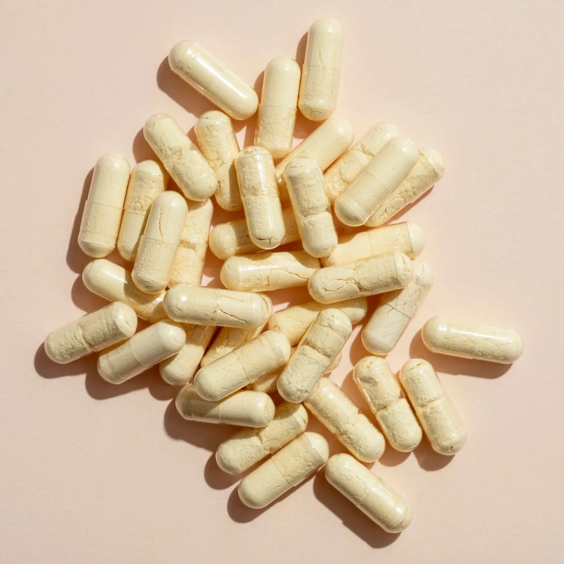 Plant Therapy – Engroshandel Kosttilskud og vitaminer – Ingefærrod urtetilskud kapsler-120 kapsler 6