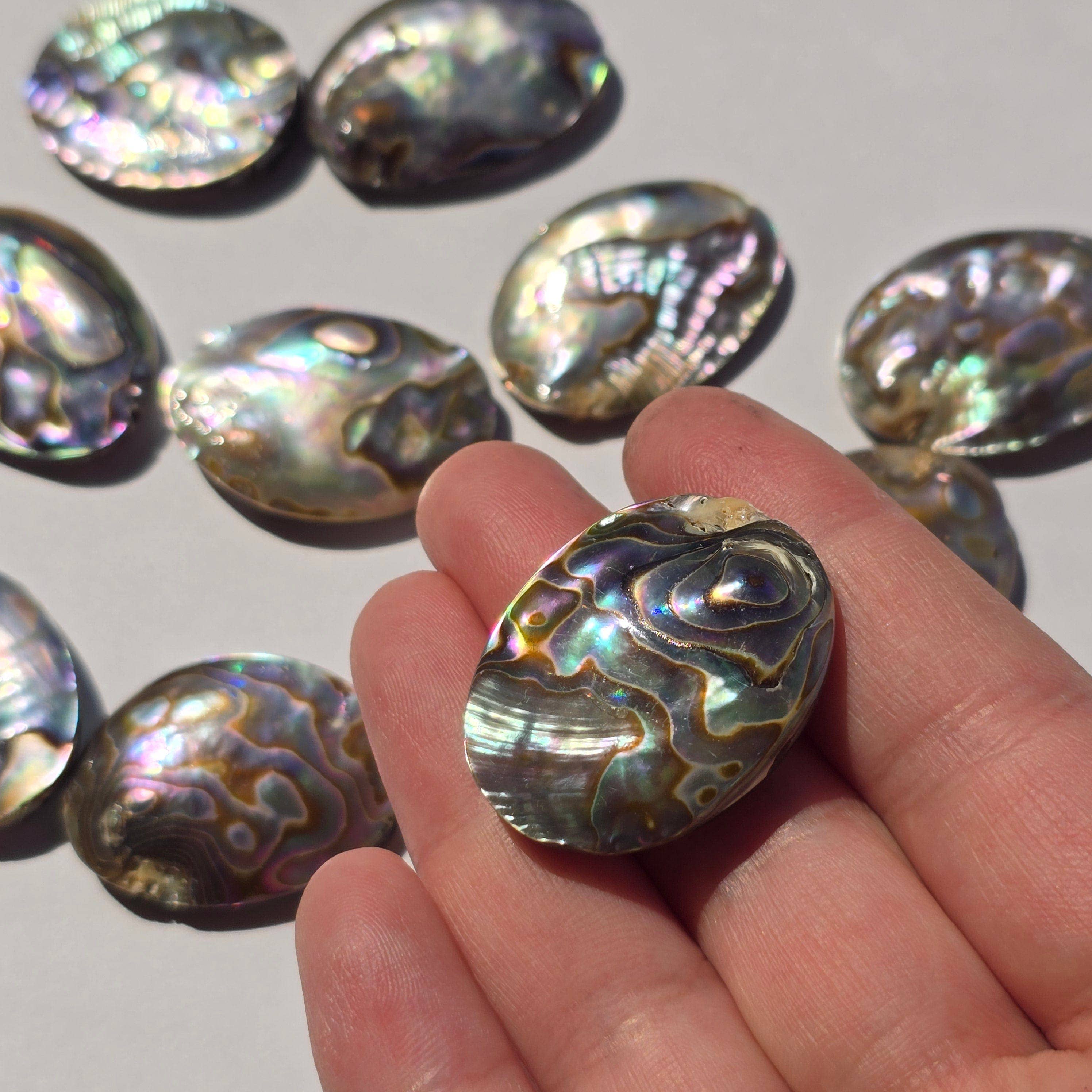Rock Paradise - Wholesale Beads - Abalone Shell Oval Bead - Side Drilled