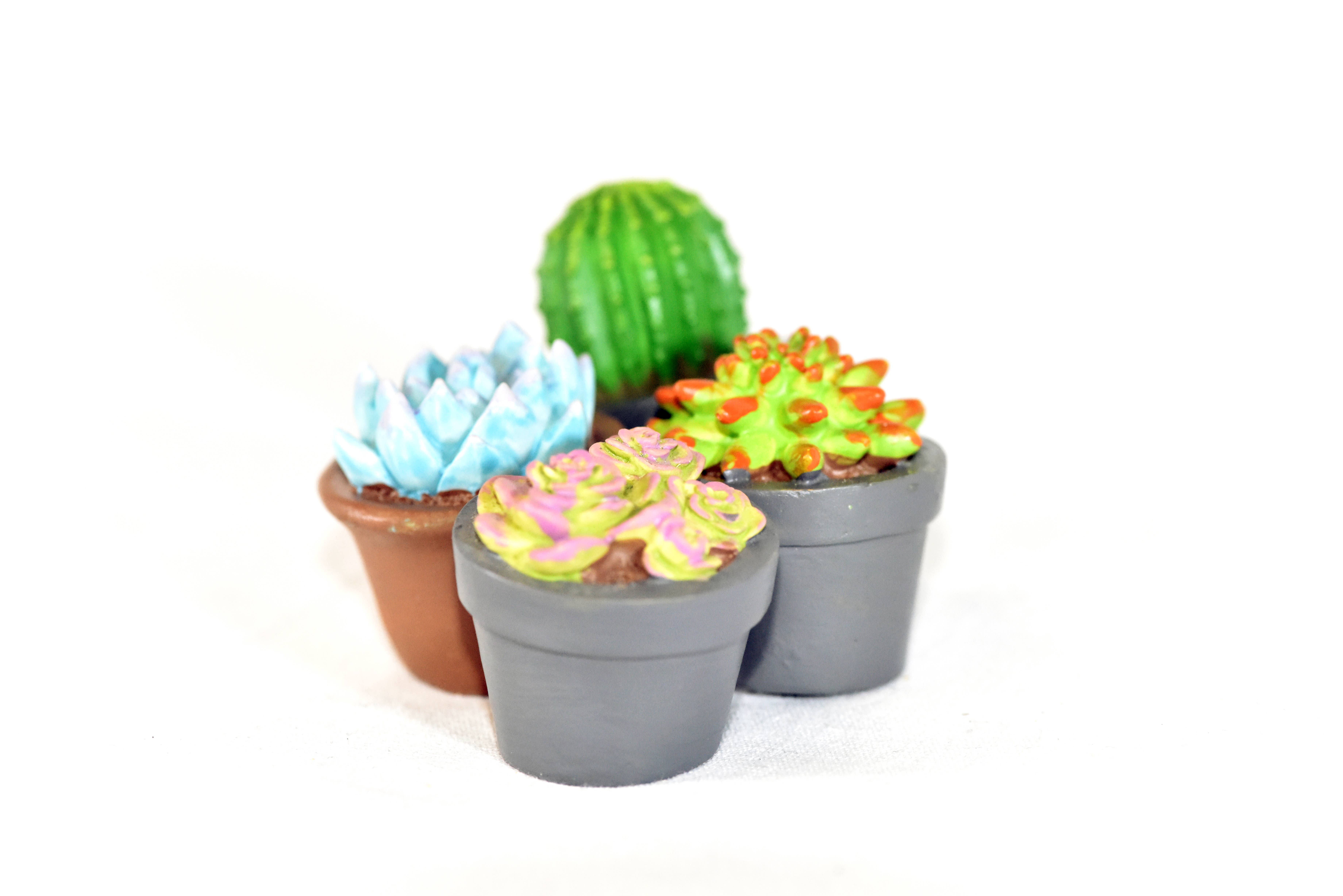 G & F Products - Wholesale Succulent - Garden Miniature Succulent, 4 pc7