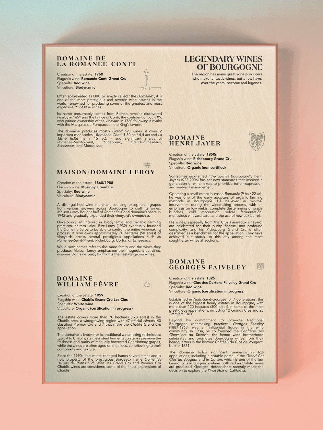 Water & Wines - Wholesale Puzzle - Adult - Wine Puzzle - Bourgogne3