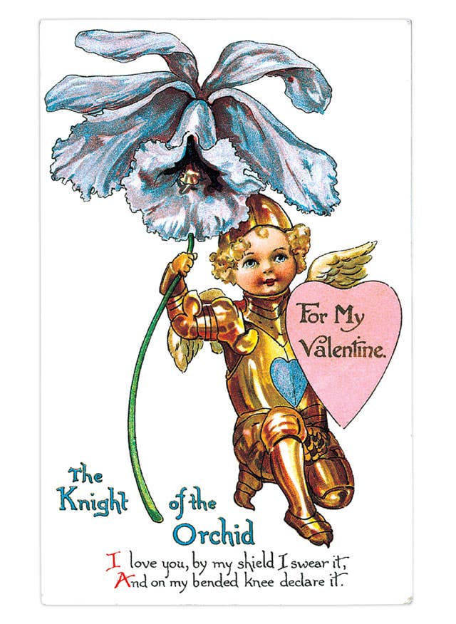 Laughing Elephant – Großhandel Postkarten-Set – Postkartenbox zum Valentinstag - 36 einzigartige Vintage-Postkarten17