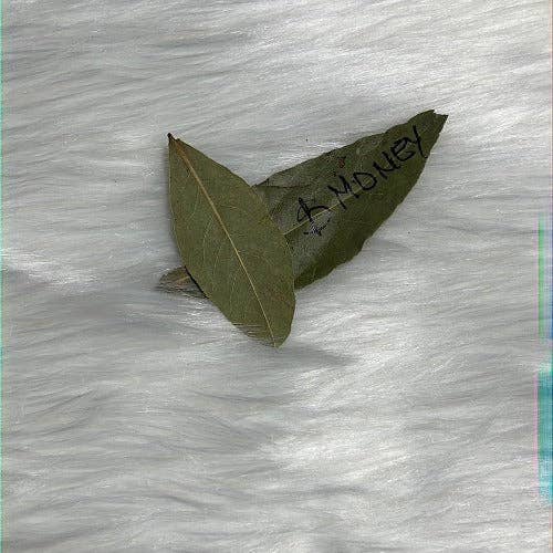 WHOLIFECO - Wholesale Meditation Supplies - Dozen of Bay leaves for manifestation - Prosperity & Abundance2
