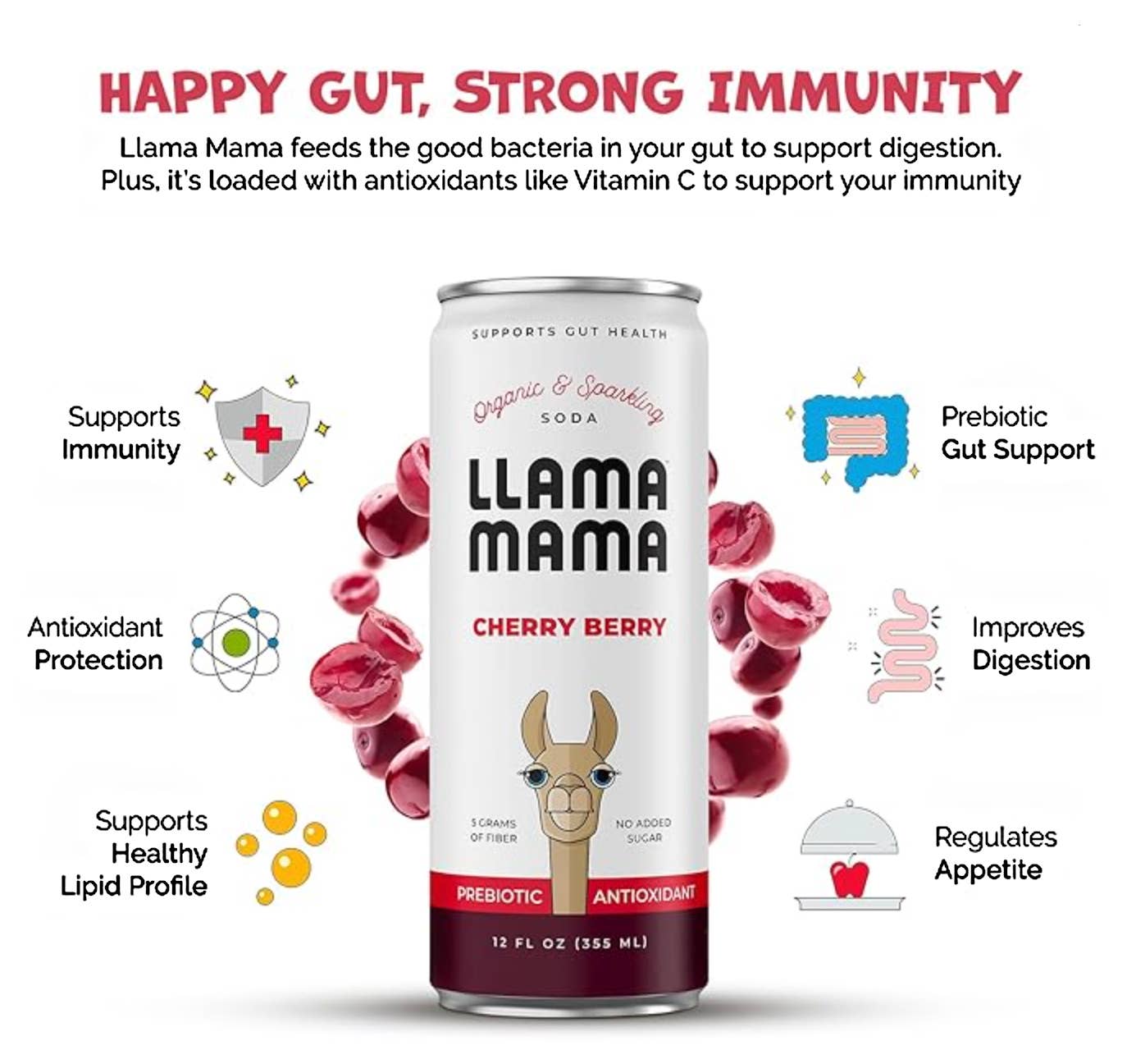 Llama Mama - Wholesale Soda/Carbonated Drink - Cherry Berry 4