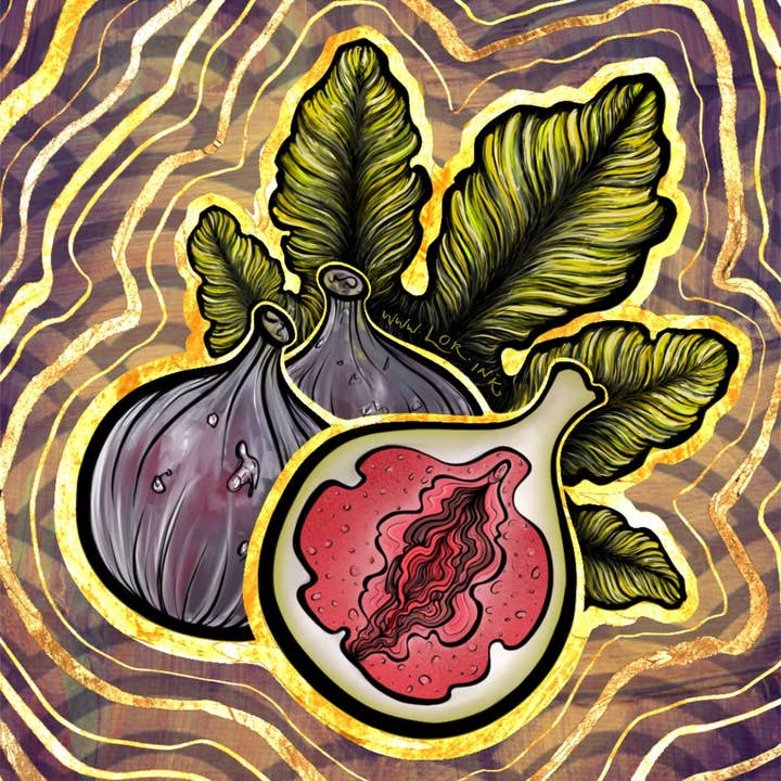 LOR&INK - Venta al por mayor Ilustración - Impresión artística de fruta de higo y vulva (5 x 7 pulgadas), impresión artística positiva para el cuerpo