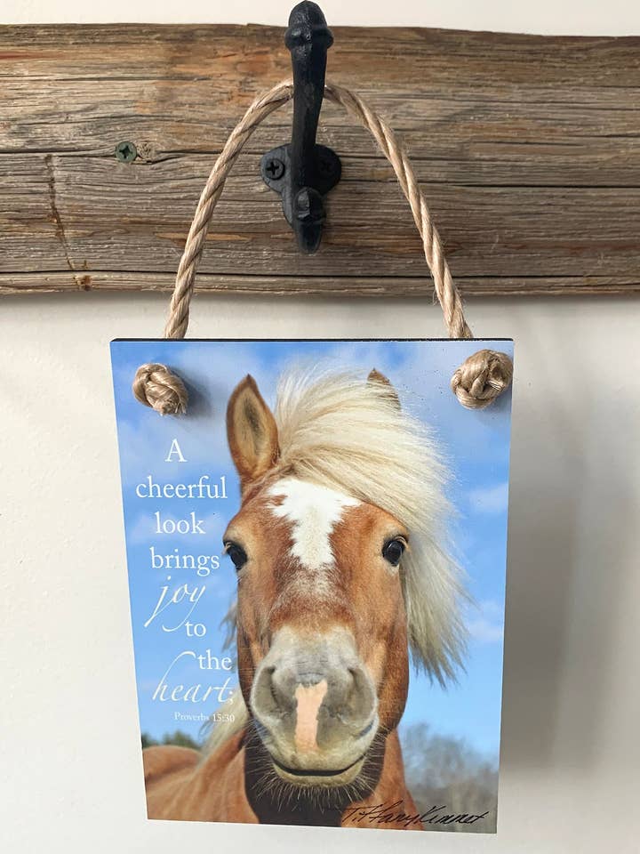 Joyful Horse - Ropes for wholesale by Subtle Verse