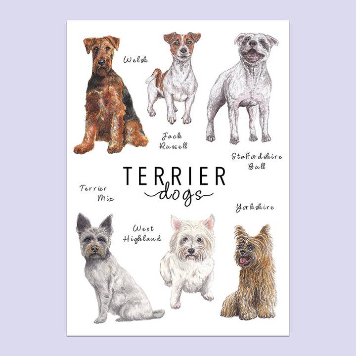 Terrier Dogs A5 Print for wholesale by Lucy Locks Art