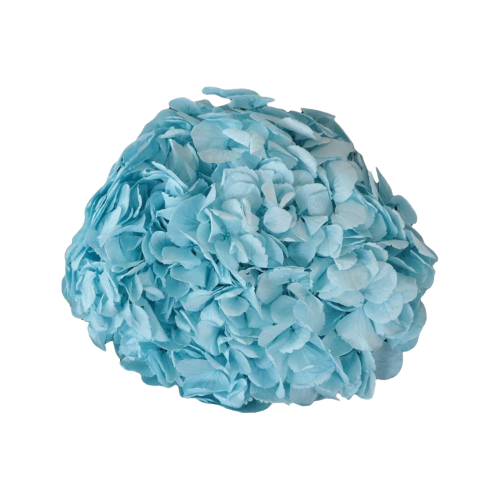 Concari.flores Preservadas - Wholesale Artificial Flowers - PRESERVED HYDRANGEA FLOWER7