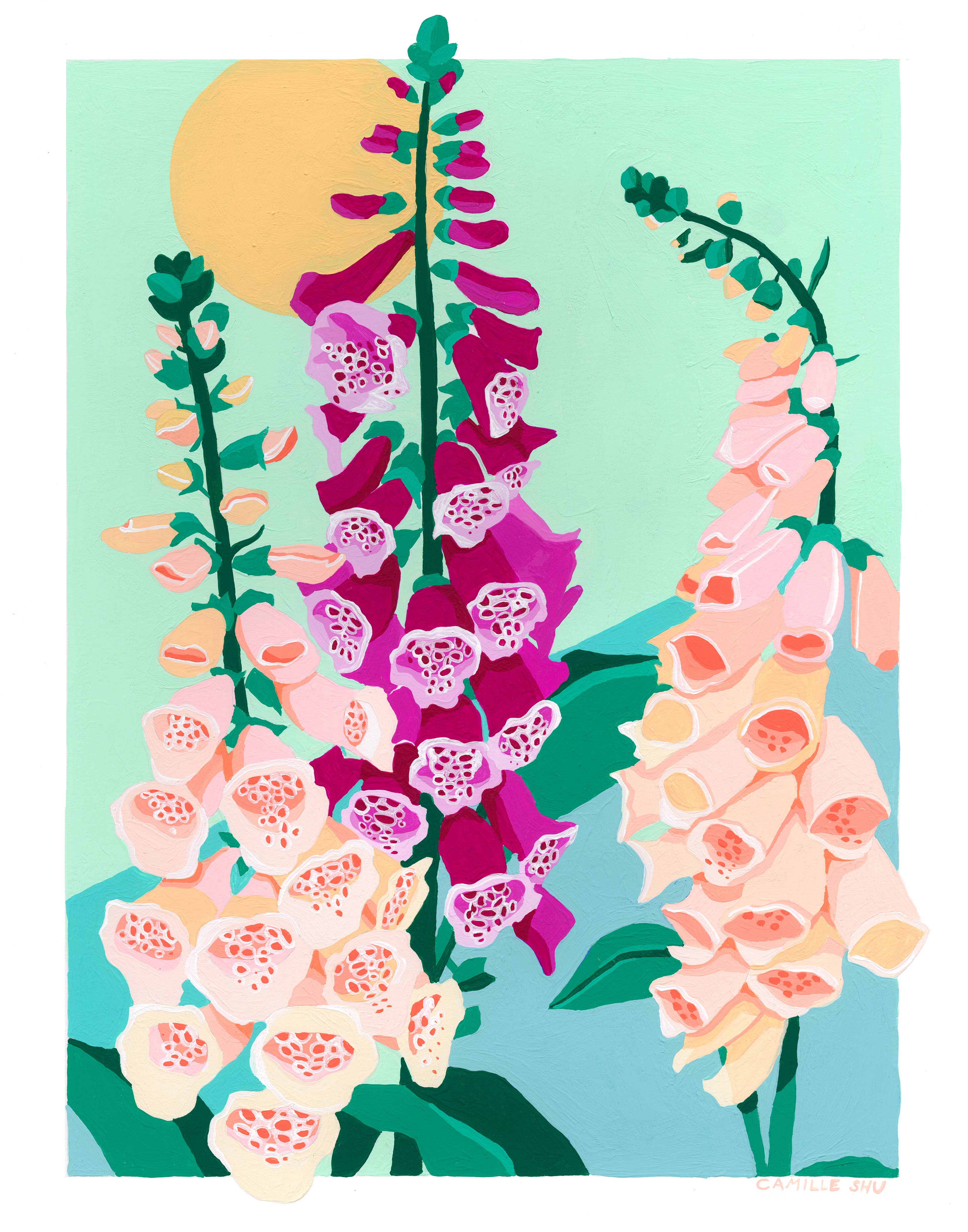 Camille Shu - Vente Carte de vœux classique - Carte Foxglove1